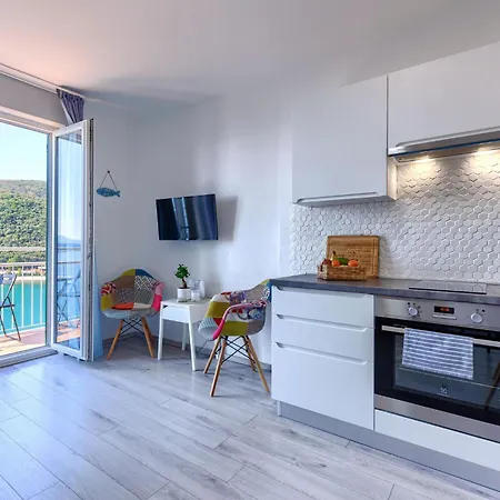 Boris - Rac160 By Interhome Apartment Rasa
